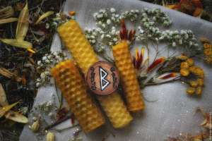 ����������, ������������, ������� - ����������� 1