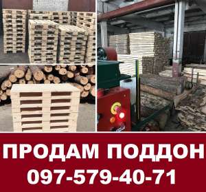 ����������� 1200X800 �����������, ������� �������������. ������ ����������� ����. - ����������� 1