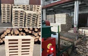 ����������� 1200�800. ������ ����� �������, �������, ���������� ������� �������. - ����������� 1