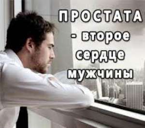 ����������� �po���������� ��c���: �������-��������������� �������p� - ����������� 1