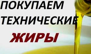 ����������� ���. ����� ���������������� - ���� �������� �����������. - ����������� 1