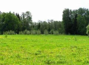 ����������� �����. - ����������� 1