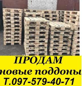 ����������� �����. ������ �������, �������, ���������� ������� � �����. - ����������� 1