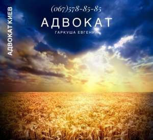 ����������� ������ � �����, ������ ��������, ���� - ����������� 1