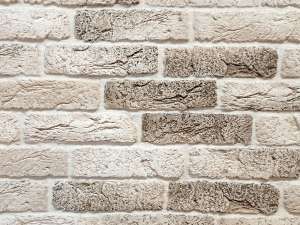 ����������� ������ ������ ���� ������ - ����������� 1