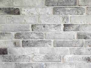 ����������� ������ ������ ������ ��� - ����������� 1