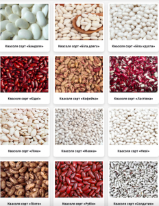 ����������� ������� ����� �����. �������� ������� ����� - ����������� 1