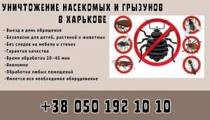 ����������� �������� � ��������� � ��������. - ����������� 1