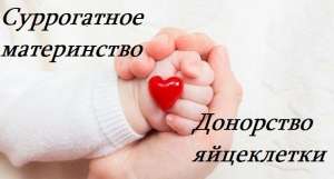 ����������� ����������� � ��������� ���������� ������� - ����������� 1