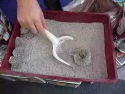 ����������� ����������� ��� �������� ������ - ����������� 1