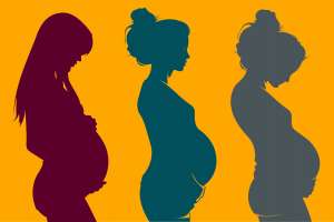 ����������� ����������� ���� - ����������� 1