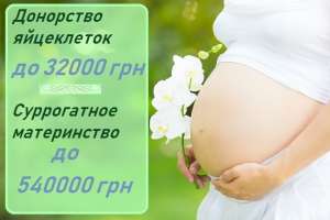 ����������� �����������. ������ ������� ������������ ����������� � ������� - ����������� 1