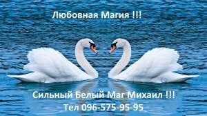 ��������,��� ����������,������� ������� ������� �������� �������, �������� �����, �������� �� ����, , �������� ��������, �����. - ����������� 1