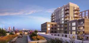 ������������ � �������������� - ����������� 1