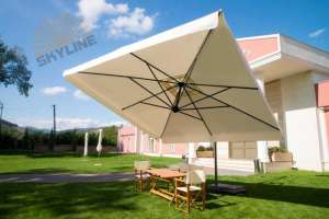 ������������ ����� Scolaro ��� ������ ���� - ����������� 1