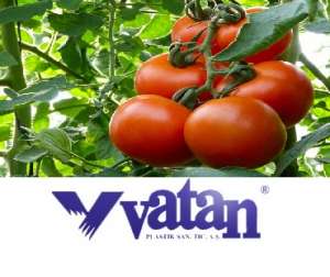 ������������ ����� ��� ������.�Vatan Plastik. ������ - ����������� 1