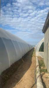 ������������ ����� �������� ����� ������. ��� ���������� ��������������� �������� ����� ��������. �����������. �������� - ����������� 1