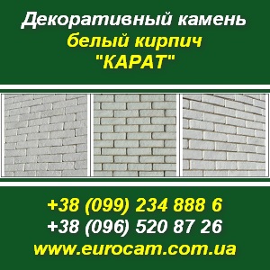 ������������ ������ 2013 ����� ������ �����. - ����������� 1