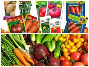 ������������ ������. �������� ������. ���� �����"B&S Product" - ����������� 1