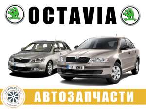 ������������ �������� Skoda Octavia A5 (2004-2013) - ����������� 1