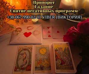 ������������ ��������. ������ ��������. �������� ��������. - ����������� 1