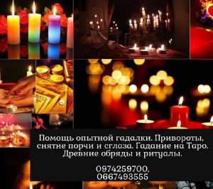 ������������ ��������� � �����. ����� � ������� �����������. - ����������� 1