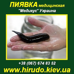 ������������� 2014-2015 ������ ����������� ���� - ����������� 1