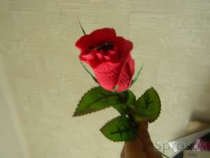 ������������� ������ �� ��� � ���������! - ����������� 1