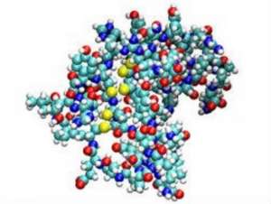 ������������� ������ ����� - ����������� 1