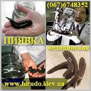 �������������. ������ ������, ������ �������, ����, �������. �������! - ����������� 1