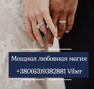 ������������� ������ ����������������� ����. �������� �� ����. ������ �����. - ����������� 1