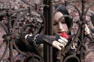 ������������� ������� - ����������� 1