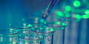 ������������� ������� � ������� Perfecto Room. ������� ��� ������ � ������. - ����������� 1