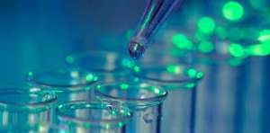 ������������� ������� � �������� � �����. ������������ ������� � Perfecto Room � ����� - ����������� 1