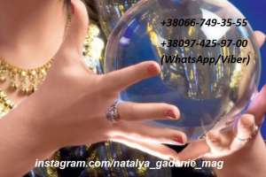 ������������� �������, ����������� - ����������� 1