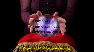 ������������� �������, �����������, ������ - ����������� 1