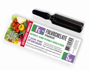 ������������� ��������� �����������, ������� ��������� � ������� �� ������ - ����������� 1