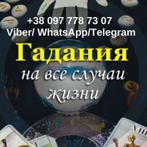 ������������� �����������. �������. - ����������� 1