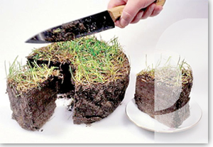 ������������� ������������ �� ���������� ����� - ����������� 1