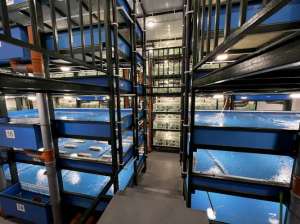 ������������� ��������������� ��� - ����������� 1