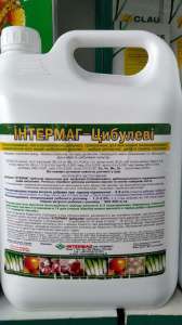 ��������-������� - ����������� 1