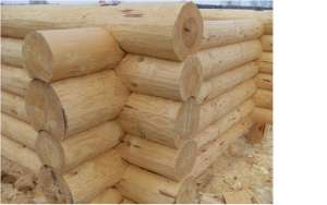 ��������������� ���� �����������, ���� - ����������� 1