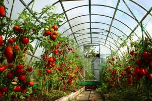 ��������������� ����� ��� ������ - Vatan Plastic - ����������� 1