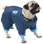 ��������-������� ������� ��� �������� - ����������� 1