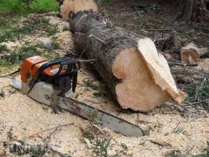 ���������������� ������ �� ����� �������� ����� ��������� - ����������� 1