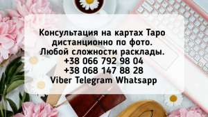 ���������������� �������. - ����������� 1