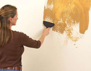 �������-���������� ������ ���� ����������� �������� - ����������� 1