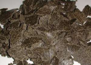 ������������������ ���������������� ���� - ����������� 1