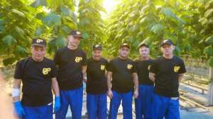 ��������/������������ - ����������� 1