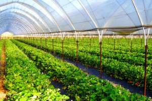 ���������������������������Vatan�Plastik - ����������� 1